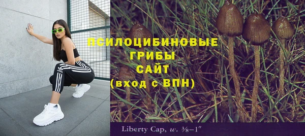 наркотики Бикин